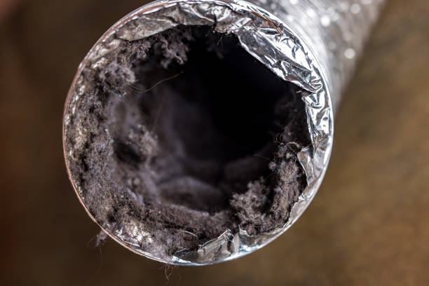 Best Local Air Duct Cleaning Services  in Lake Mary, FL