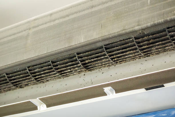 Best HVAC Duct Inspection Services  in Lake Mary, FL